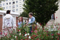 Assemblee 052 * 6000 x 4000 * (7.51MB)